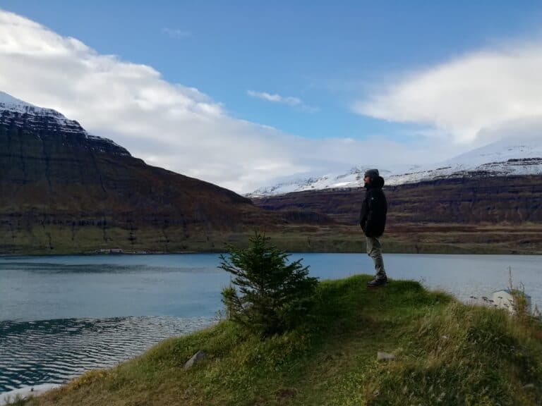 Vista sul fiordo Islanda