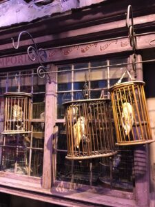 Gufi a Diagon Alley Harry Potter Studios