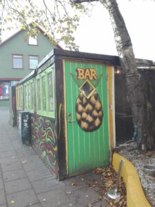 Bar ananas a Reykjavik