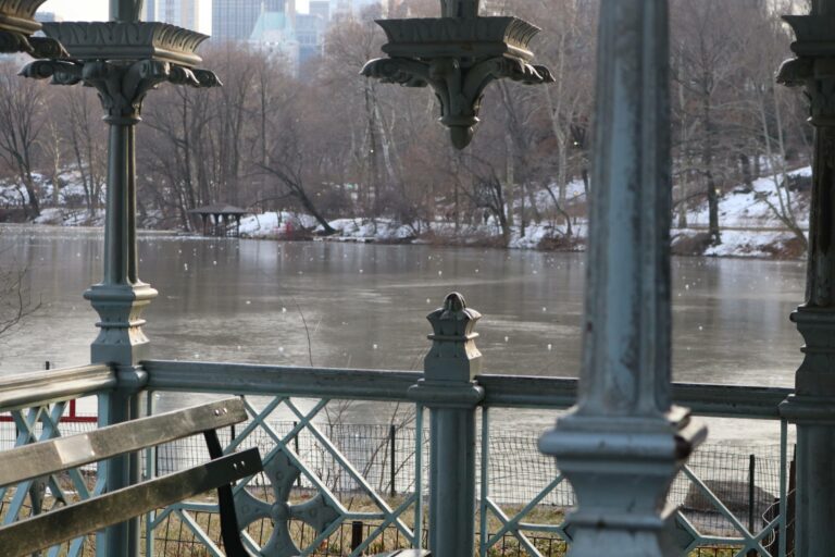 Patio lago ghiacciato a Central Park