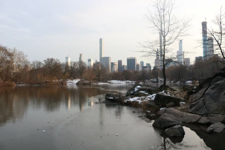 Vista grattacieli da Central Park