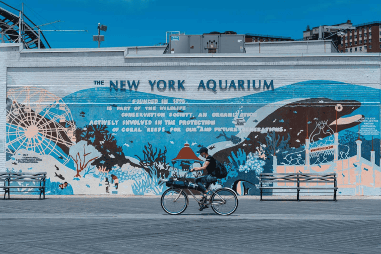 Acquario di New York