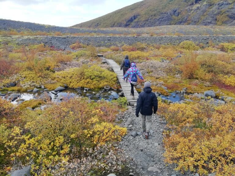 Nel parco del Vatnajokull in autunno