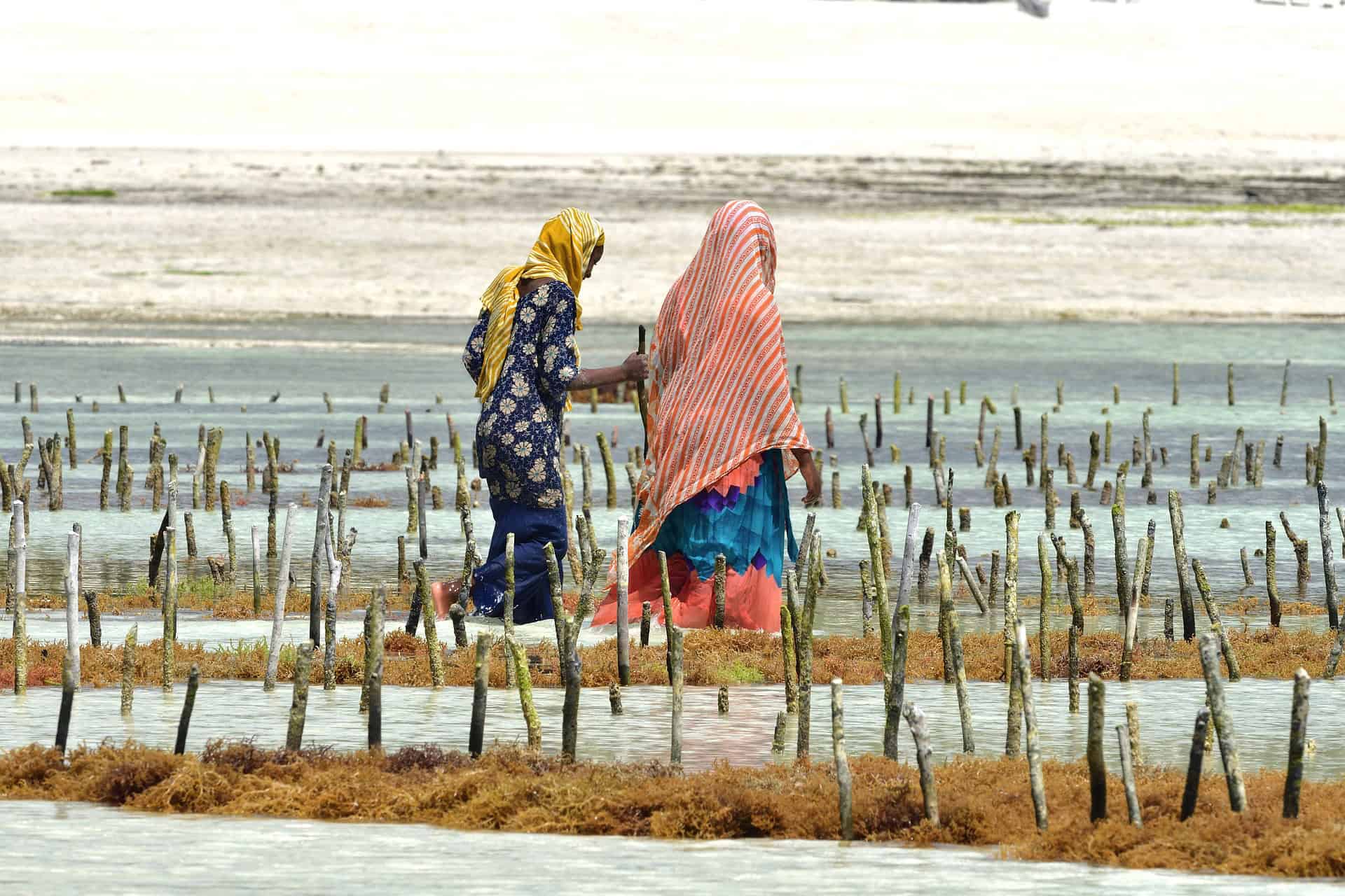 donne a Zanzibar